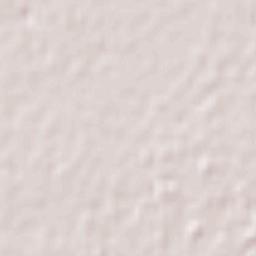 James Craik Terrain Map