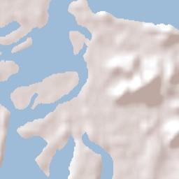 Forster Terrain Map