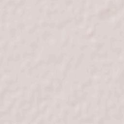 San Antonio de Litín Terrain Map