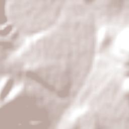 Graaff-Reinet Terrain Map