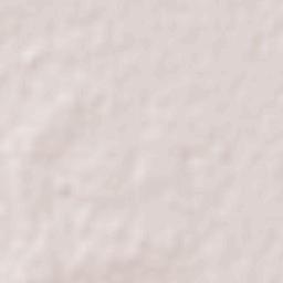 Rosario del Tala Terrain Map