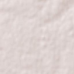 Pronunciamiento Terrain Map