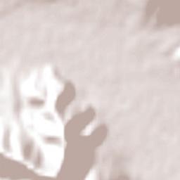 La Ligua Terrain Map