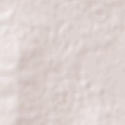 Kondinin Terrain Map