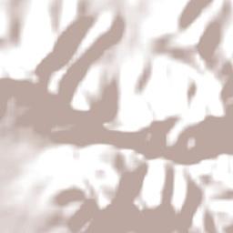 Muswellbrook Terrain Map