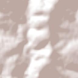 Amathole District Municipality Terrain Map