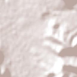 Wellington Terrain Map