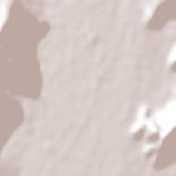 Putaendo Terrain Map