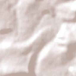 Adelaide Terrain Map