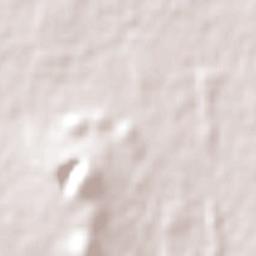 Peak Hill Terrain Map