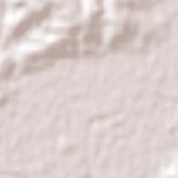 Bolwarra Heights Terrain Map