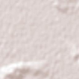 Wallalong Terrain Map