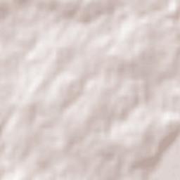 Port Stephens Shire Terrain Map