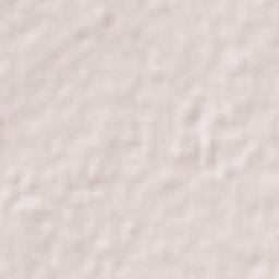 Tilisarao Terrain Map