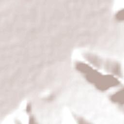 Panquehue Terrain Map