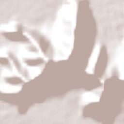 Llaillay Terrain Map