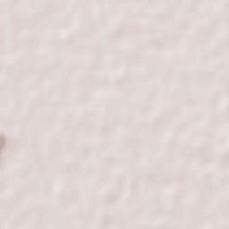 Rinconada Terrain Map