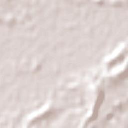 Williamtown Terrain Map