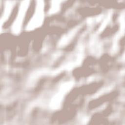 Cameron Park Terrain Map