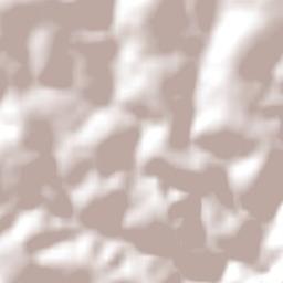 Buffalo City Metropolitan Municipality Terrain Map