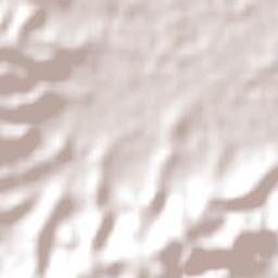 New Lambton Terrain Map