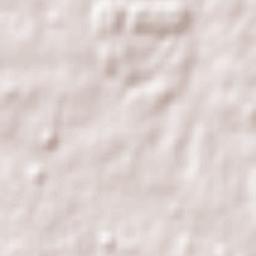 Carlos Reyles Terrain Map