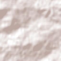 Williams Terrain Map