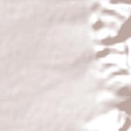 La Punta Terrain Map