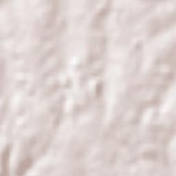 Villa del Carmen Terrain Map