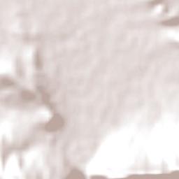 Prince Albert Terrain Map