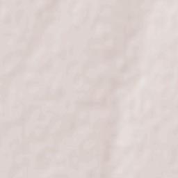 Departamento de Caseros Terrain Map