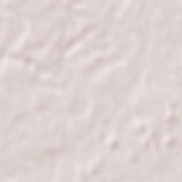 Cebollatí Terrain Map