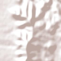 Northern Areas Terrain Map