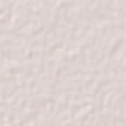 Chañar Ladeado Terrain Map