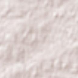 Santa Bernardina Terrain Map