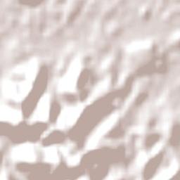 Chittaway Bay Terrain Map