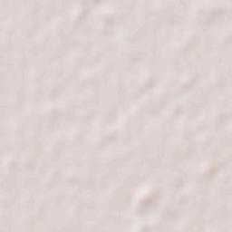 La Carlota Terrain Map