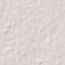 Guatimozín Terrain Map