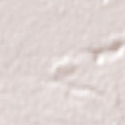 Curacaví Terrain Map