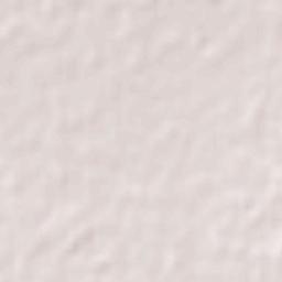 San Joaquín Terrain Map