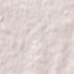 Palmitas Terrain Map