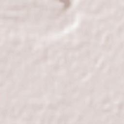 Padre Hurtado Terrain Map