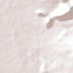 La Florida Terrain Map