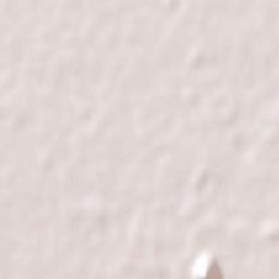 San Bernardo Terrain Map