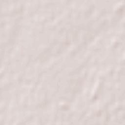 Alejo Ledesma Terrain Map