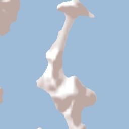 Palm Beach Terrain Map