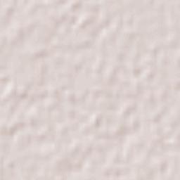 Coronel Moldes Terrain Map