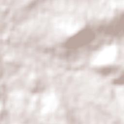 Wellington Terrain Map