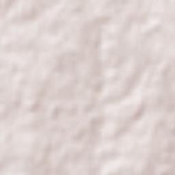 José Enrique Rodó Terrain Map