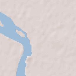 Puerto Ibicuy Terrain Map